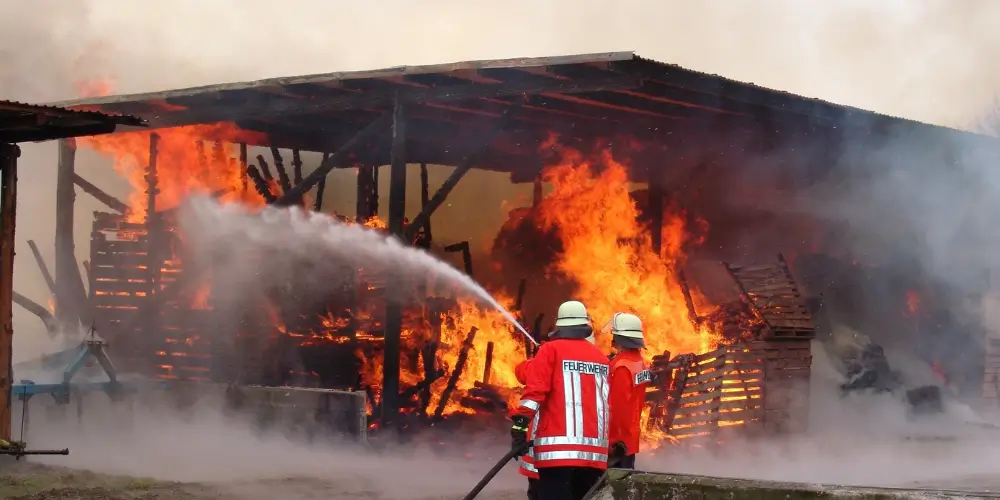 5 Elements of POCMAR