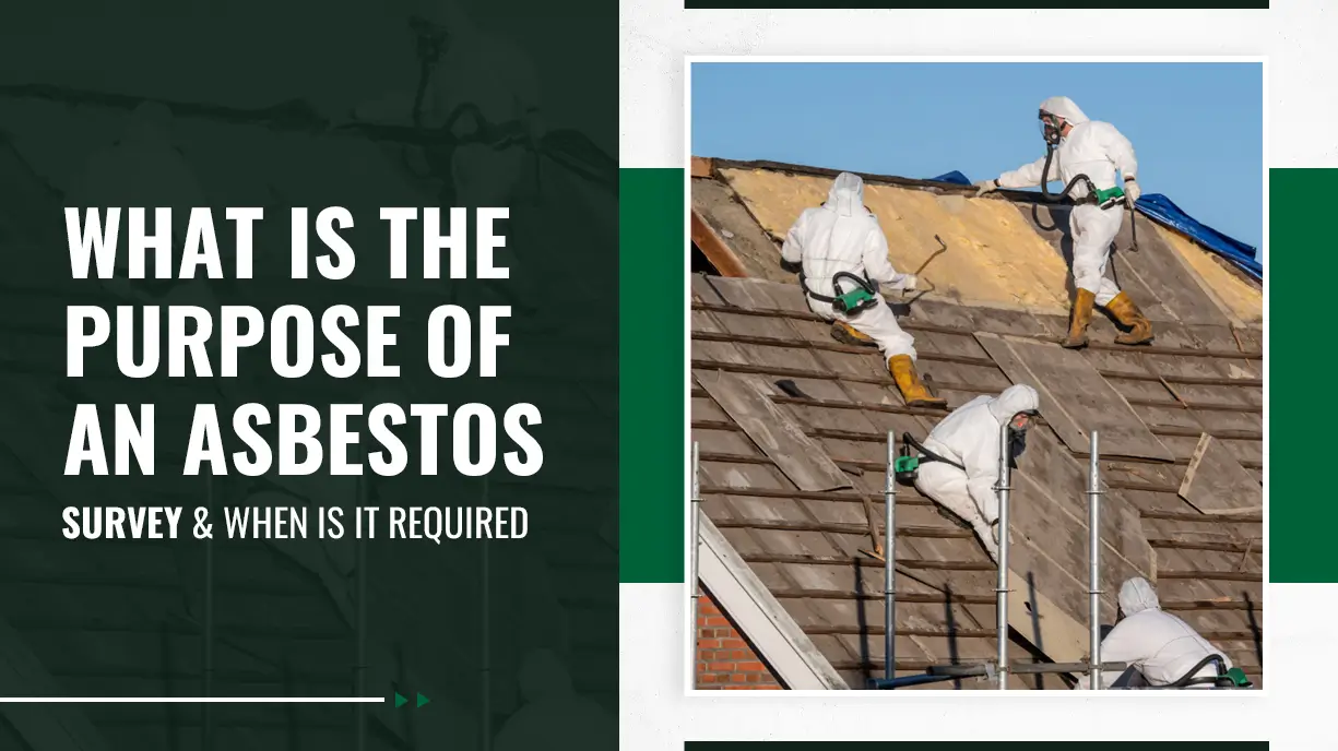 What-Is-the-Purpose-of-an-Asbestos