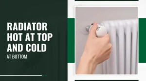 Radiator Hot at Top and Cold at Bottom