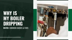 Why Is My Boiler Dripping Water Common Causes and Fixes
